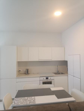 Apartment with terrace Vilnius